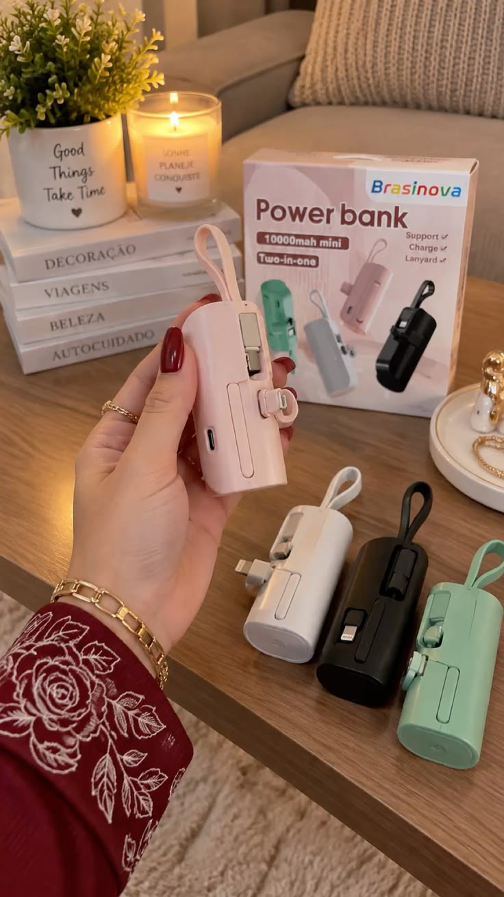 Power Banks & Inverters
